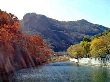 新澳天天开奖资料大全旅游团，医药压片机